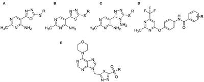 Synthesis and Bioactivities Study of Novel Pyridylpyrazol Amide Derivatives Containing Pyrimidine Motifs